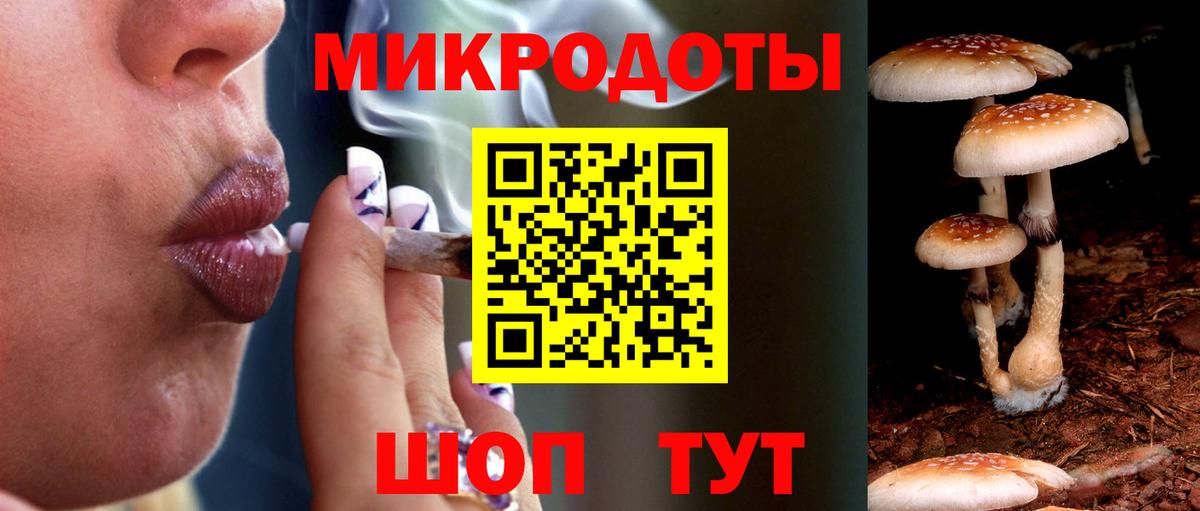 Галлюциногенные грибы MAGIC MUSHROOMS  магазин продажи   Симферополь  Вход с VPN 